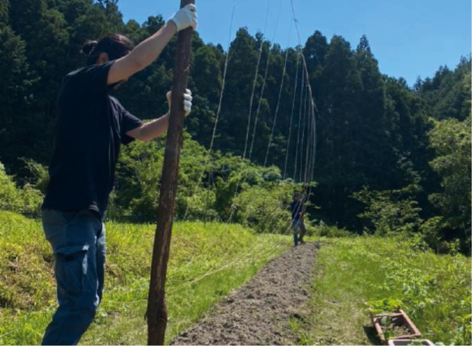 ギャラリー画像