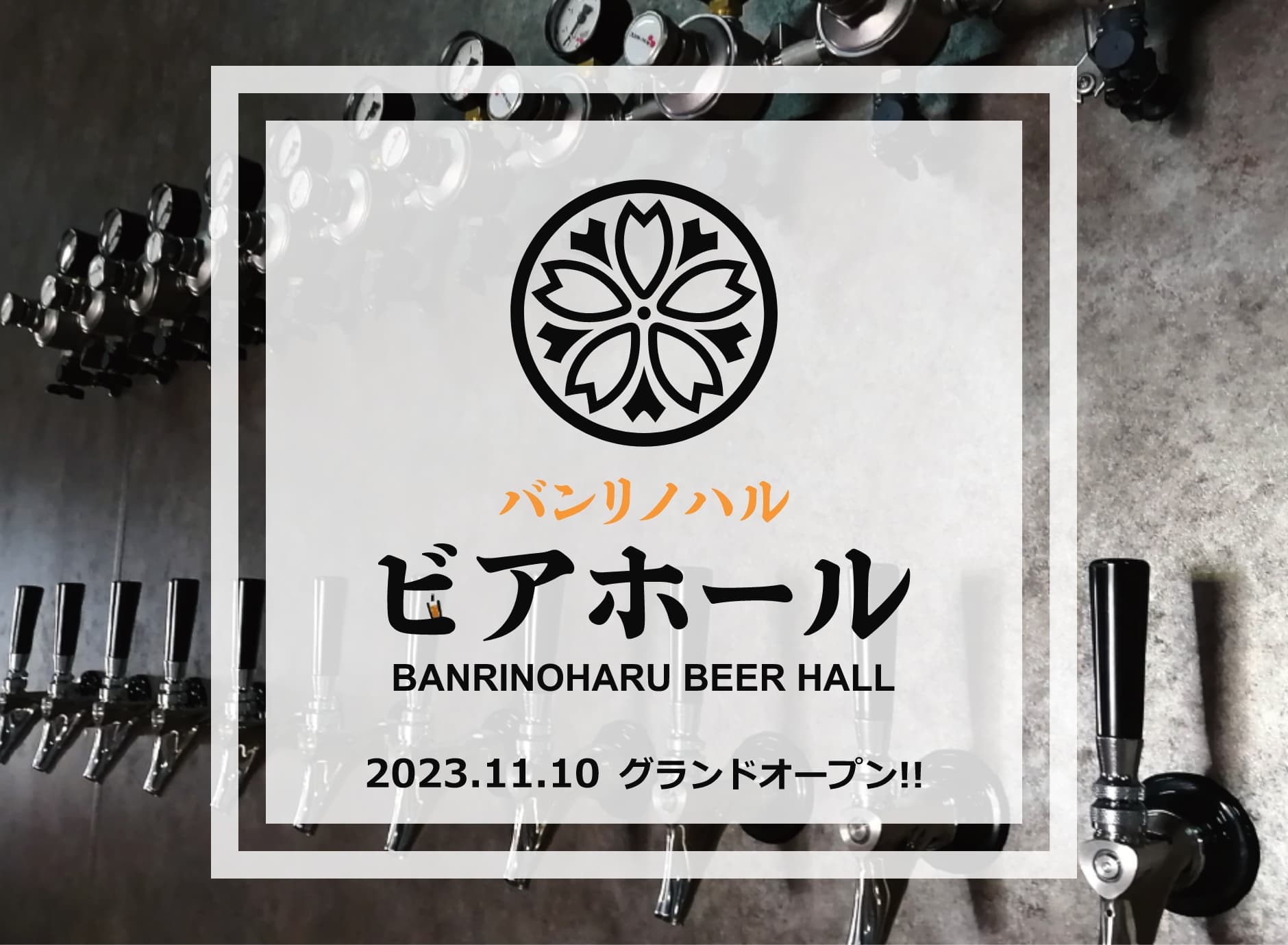 万里春醸造,MV画像